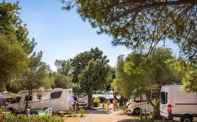 Maistra Camping Amarin Pitches
